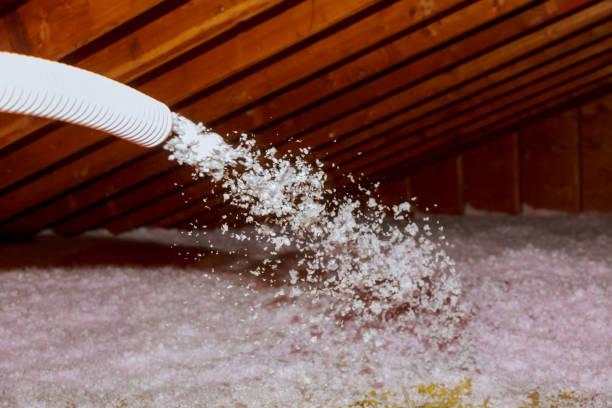 Best Attic Insulation Installation  in Hammond, IN