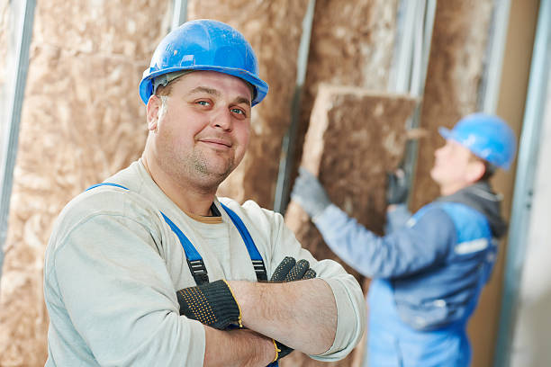 Best Residential Insulation Services  in Hammond, IN